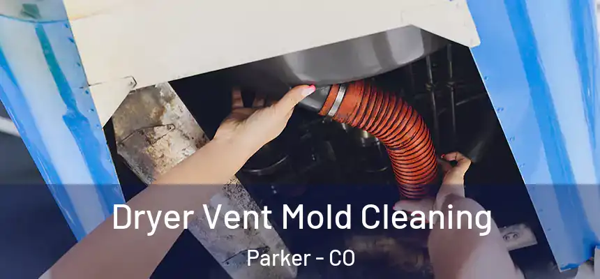  Dryer Vent Mold Cleaning Parker - CO