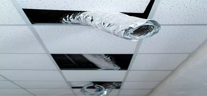 Our Air Duct Pet Hair Removal Services in Parker, CO