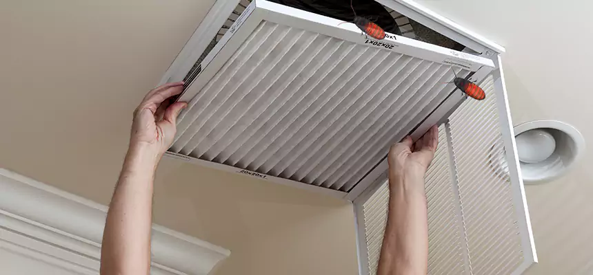 Our Insect Removal from Air Ducts Services in Parker, CO