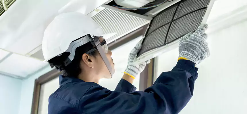 Our Mold & Mildew Removal from Air Ducts Services in Parker, CO