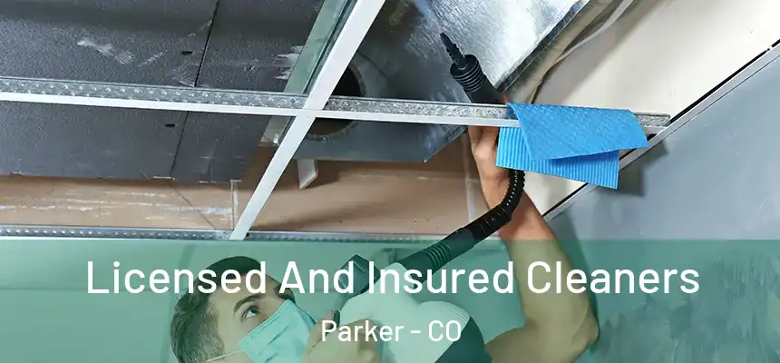  Licensed And Insured Cleaners Parker - CO