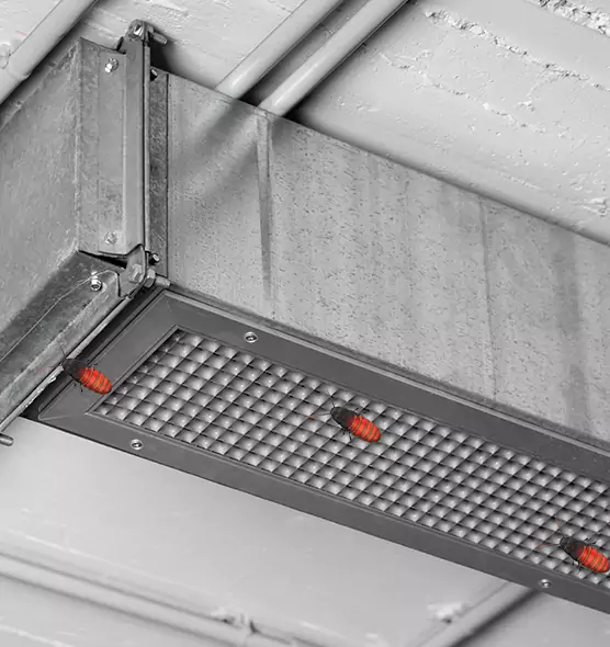 Affordable Insect Removal from Air Ducts in Parker, CO