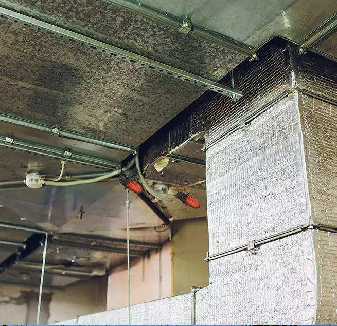 Why Homeowners & Businesses Trust Us in Parker, CO?