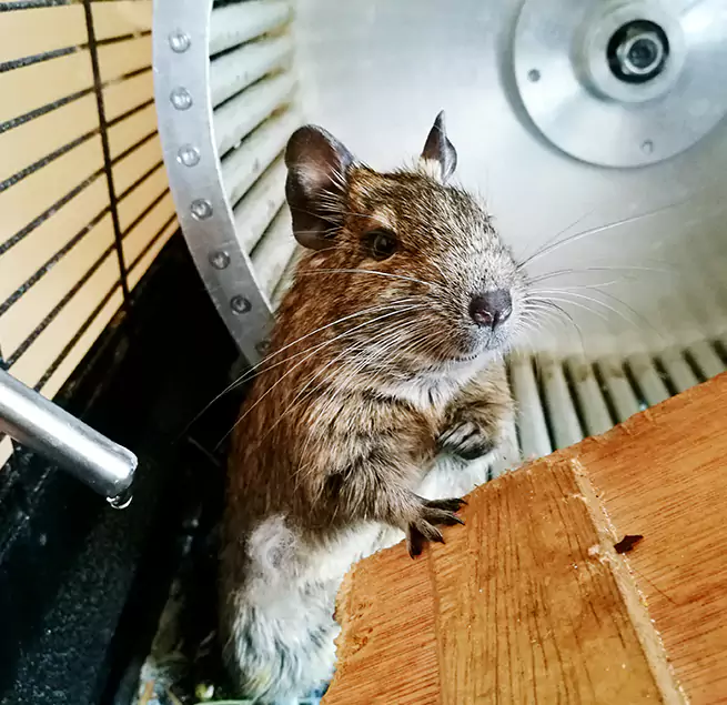 Why Homeowners & Businesses Trust Us Parker, CO?