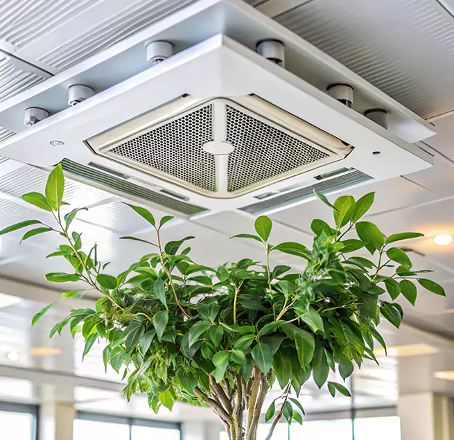 Why Homeowners & Businesses Trust Us in Parker, CO