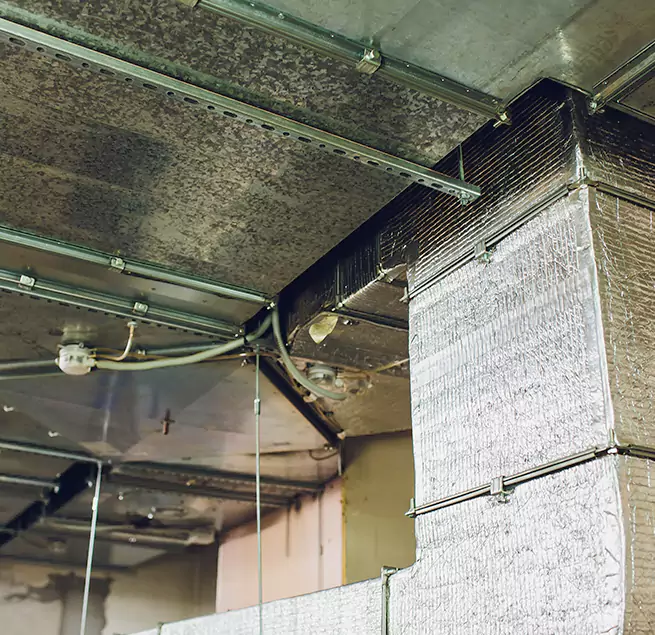 Why Homeowners & Businesses Trust Us in Parker, CO?